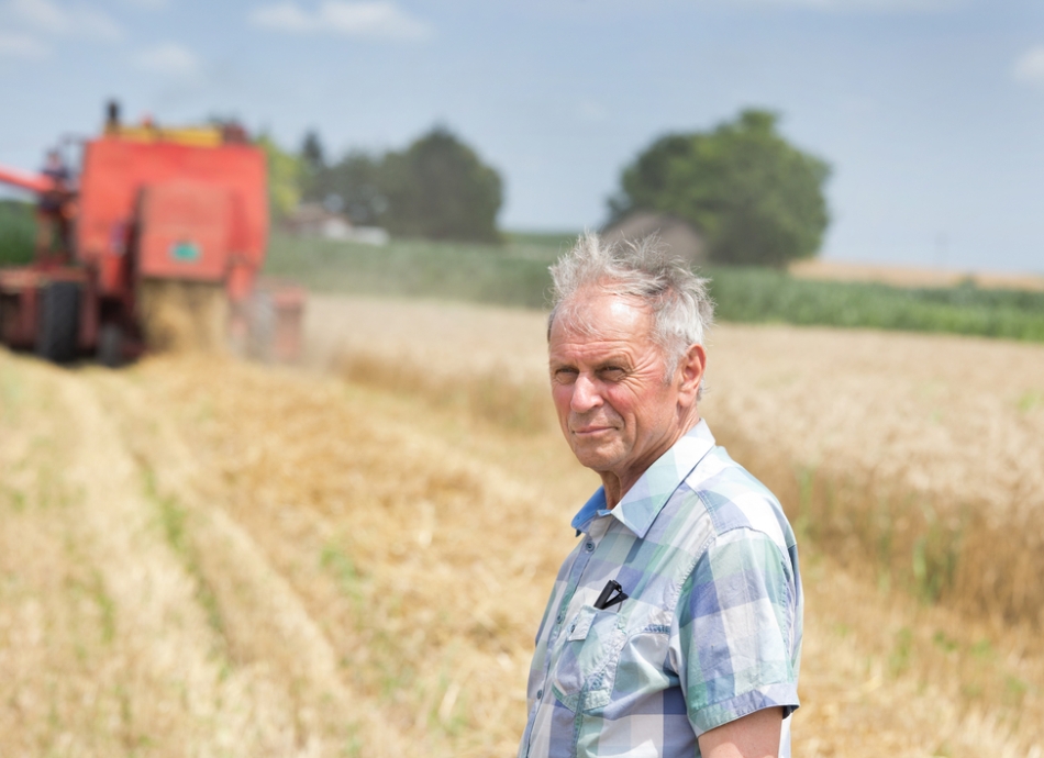 Farmer in cornfield no sun protection