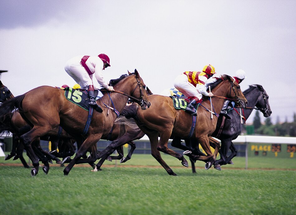 Horses racing