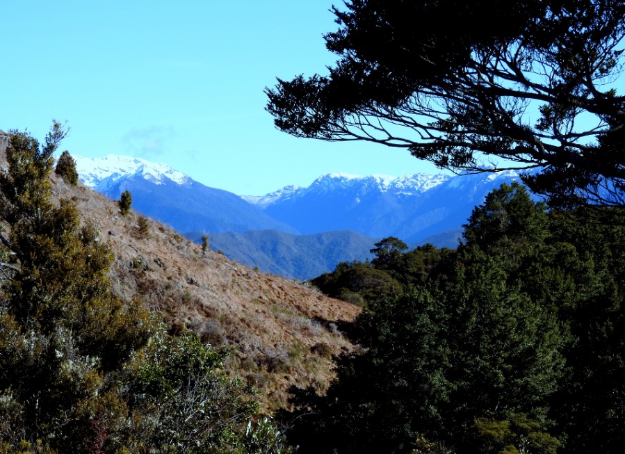 Mountains hill and tree NZ HN 