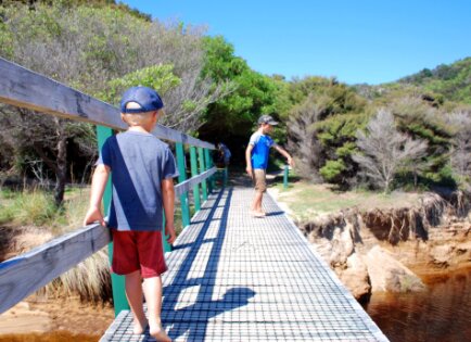 Two boys exploring at the beach New Zealand