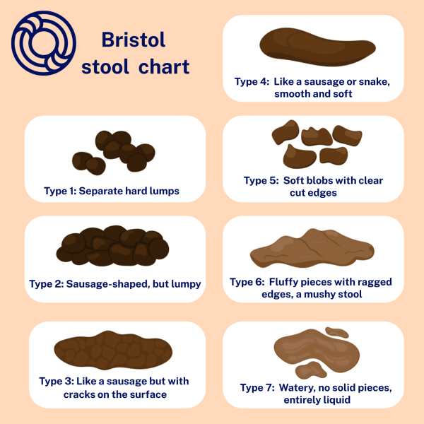 Bristol stool chart showing different types of poo