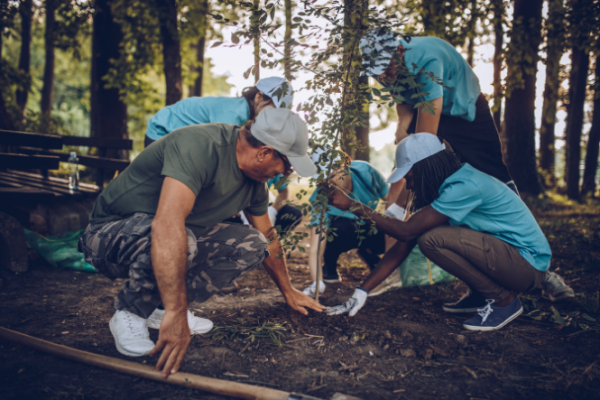 Group of people planting a small tree amongst larger trees
