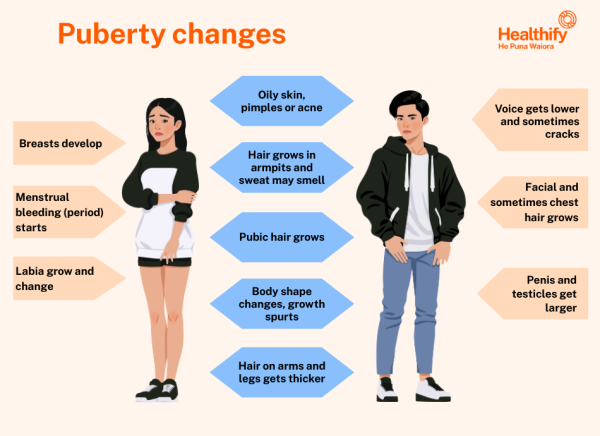 Changes at puberty for males and females